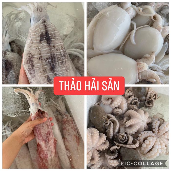 Vựa Hải Sản Thảo - ảnh 2