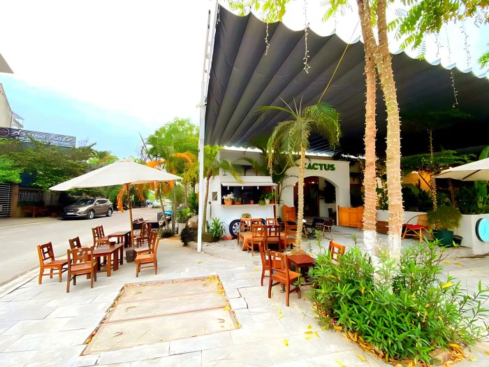 Cactus Coffee ảnh 1 - Góc nhìn đầu tiên về thiên đường cà phê với không gian xanh mát và thiết kế độc đáo