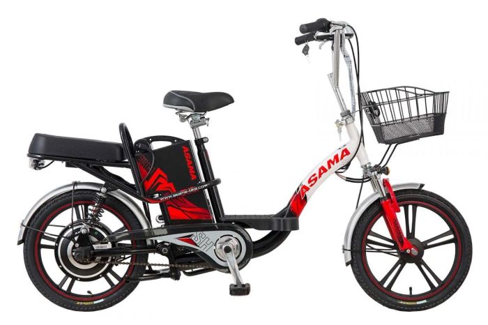 Xe đạp điện Asama ảnh 1