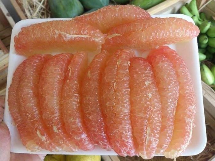 Khoảnh khắc chân thực về nguồn thực phẩm sạch tại An Mộc