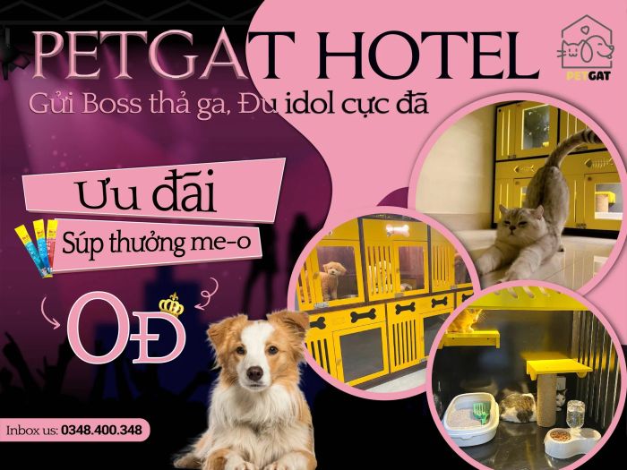 Petgat VietNam ảnh 1
