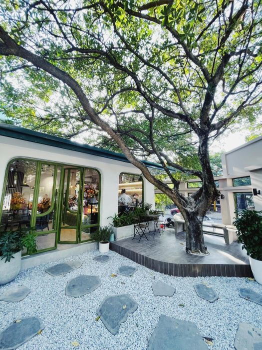 PUNO Coffee - Gelato ảnh 1 - Góc nhìn đầu tiên về thiên đường nhiệt đới với cây xanh và thức uống đầy màu sắc
