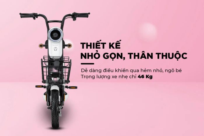 Xe đạp điện Yadea ảnh 1