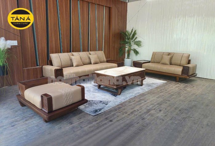 Sofa Tân Á Đồng Nai - góc nhìn nghệ thuật từ ảnh 2