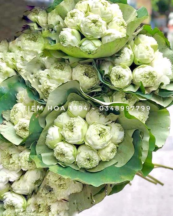 Không gian ấm cúng đầy cảm hứng tại Tiệm 1994 Floral