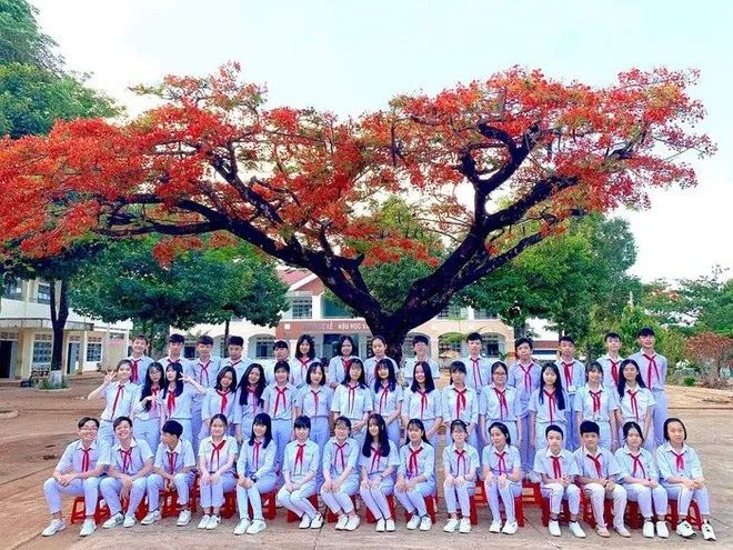 Trường THCS Trần Phú (ảnh 1)