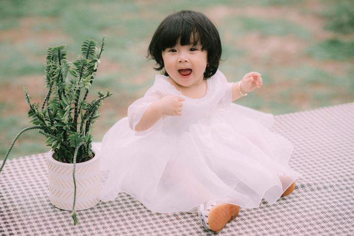 Bộ sưu tập nghệ thuật thứ 3 - Studio Nam Trần