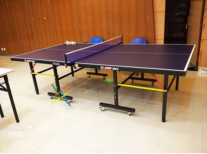 Hình ảnh chi tiết bàn bóng bàn DHS - Thiết kế chuẩn thi đấu