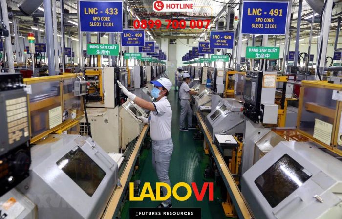 Hình ảnh hoạt động của LADOVI (Ảnh 1)