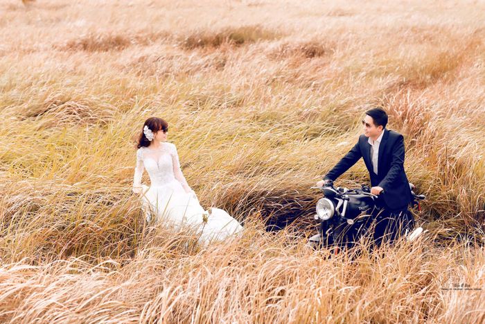 Tuyển tập hình ảnh ấn tượng tại Sơn Hoa Wedding Studio - Ảnh 3