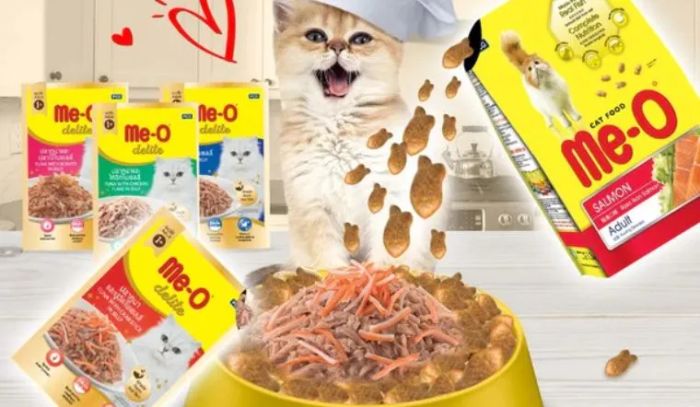 Meo-o ảnh 1