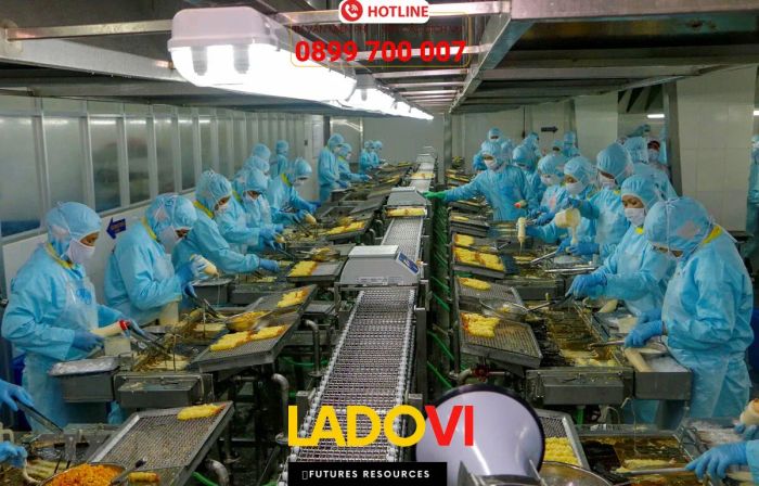 Hình ảnh dịch vụ cung ứng lao động LADOVI (Ảnh 2)