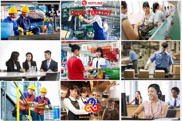 Hình ảnh hoạt động của Nhân Lực Việt