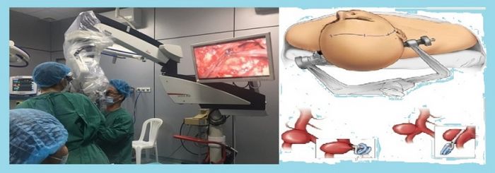 Hình ảnh 2 - Khuôn viên xanh mát tại Bệnh viện Đa khoa Tỉnh Quảng Nam