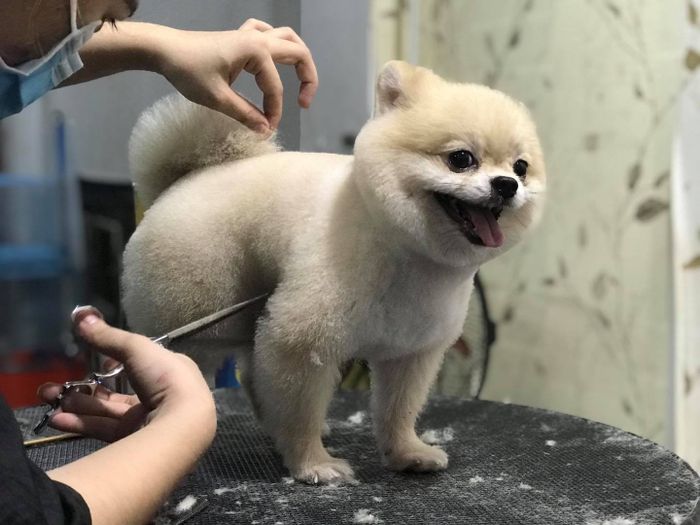 Hình ảnh Phòng Khám Thú Y Quảng Ninh - Cơ sở vật chất hiện đại
