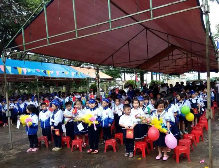 Hình ảnh ấn tượng về Trường Tiểu học Trần Đại Nghĩa