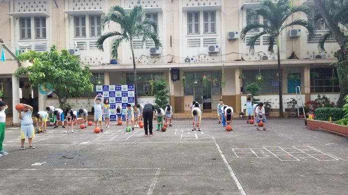 Không gian xanh mát tại Trường Tiểu học Nguyễn Thái Sơn