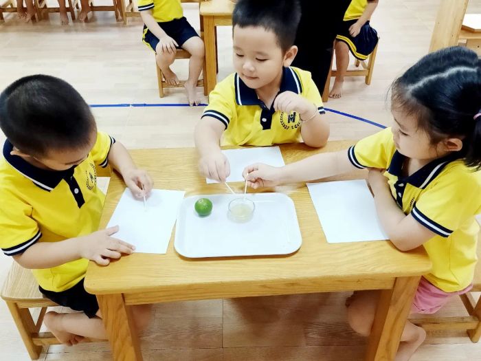 Trường Mầm non Hồng Nhung - Bộ ảnh chân thực về không gian học tập đầy cảm hứng