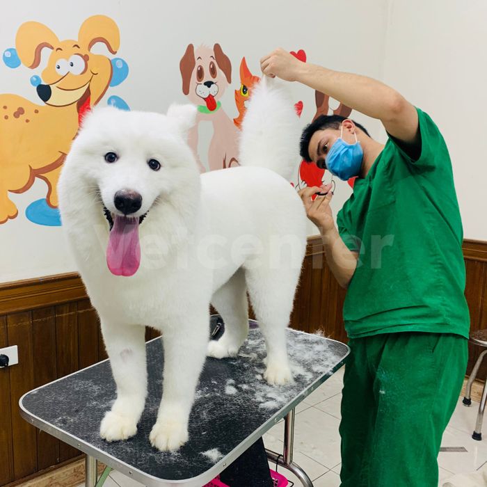 Hình ảnh Bệnh Viện Thú Y Vetcenter - Không gian chăm sóc hiện đại