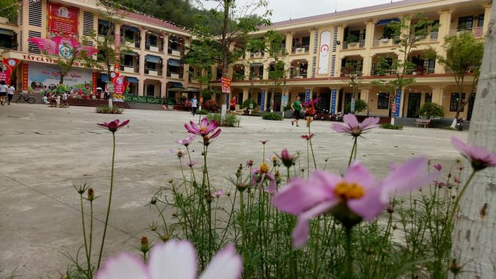 Góc nhìn mới về Trường Tiểu học Bắc Lệnh: Không gian xanh mát với sân chơi rộng rãi, phòng học hiện đại, tạo cảm hứng học tập mỗi ngày.