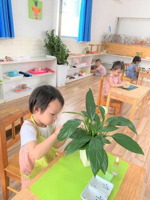 Không gian học tập Montessori đầy cảm hứng tại Casapanda