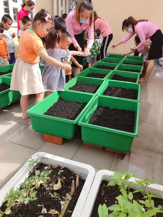 Những khoảnh khắc đáng yêu của các bé trong giờ học Montessori tại Happy School