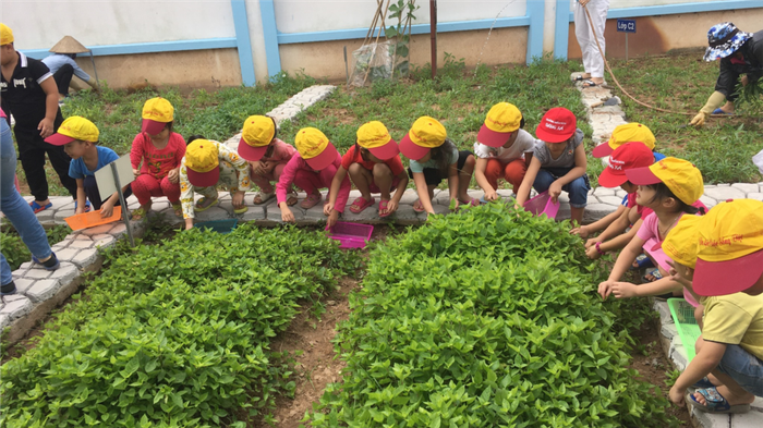 Khuôn viên xanh mát tại Mầm non Đặng Xá