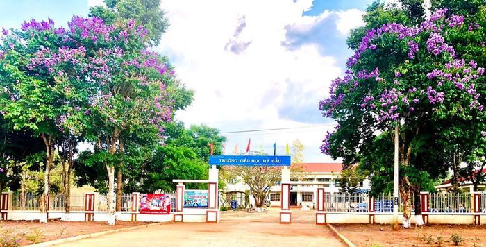 Trường Tiểu học Hà Bầu - Hình ảnh 1