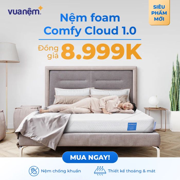 Vua Nệm - Hình ảnh 2