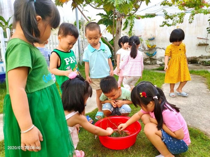 Khoảnh khắc đáng yêu của các bé trong giờ học sáng tạo tại Trường Mầm Non Tinh Tú StarKids