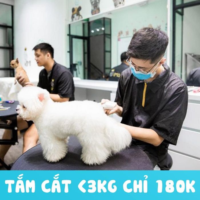 Hình ảnh dịch vụ tại Bệnh Viện Thú Y SVET Quảng Ninh