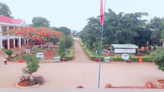 Trường Tiểu học Nam Yang - Hình ảnh 1