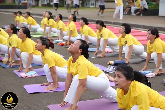 Hình ảnh không gian luyện tập tại Yoga Hoa Vô Ưu Gia Lai