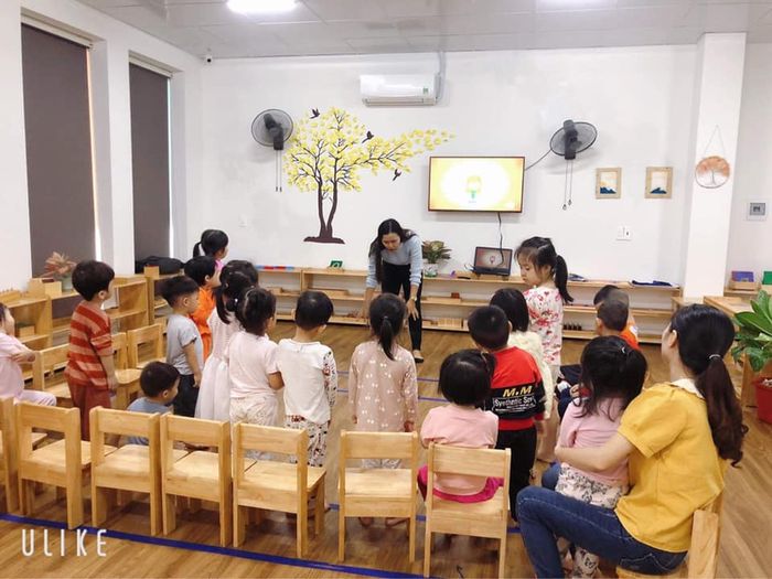 Mầm Non Hoa Trà Mi - Hình Ảnh 1