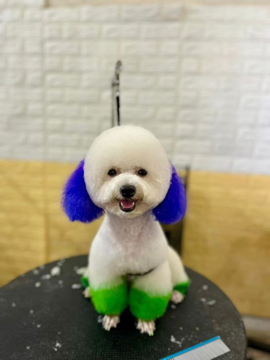 Hình ảnh Phòng Khám Thú Y Ocean Pet - Cơ sở vật chất hiện đại