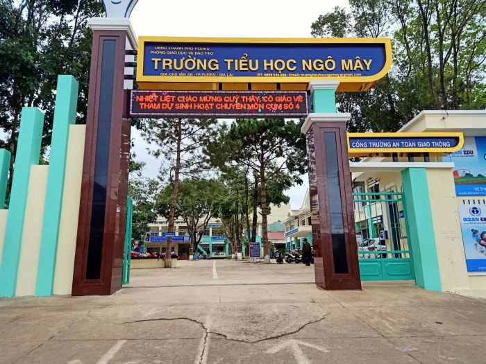 Cơ sở vật chất hiện đại và không gian xanh tại Trường Tiểu học Ngô Mây