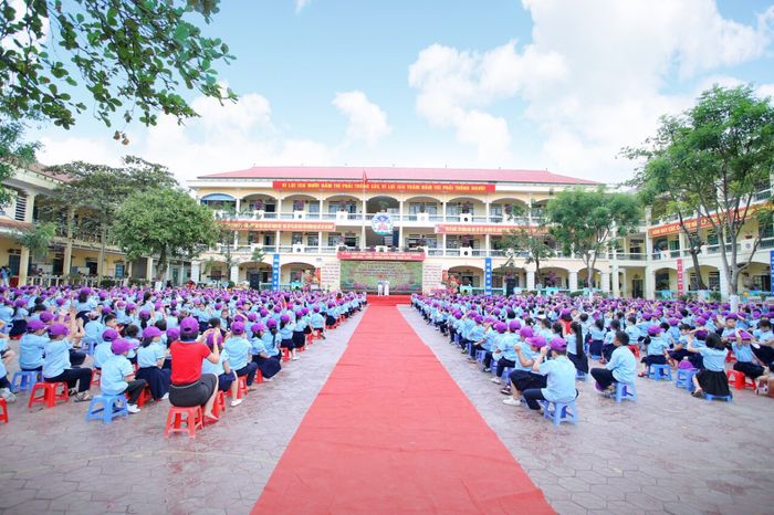 Hình ảnh khuôn viên xanh mát Trường Tiểu học Lê Văn Tám