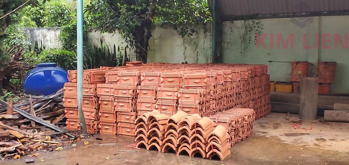 Công ty TNHH Kim Liên Gia Lai ảnh 2