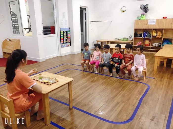 Mầm Non Hoa Trà Mi - Hình Ảnh 2