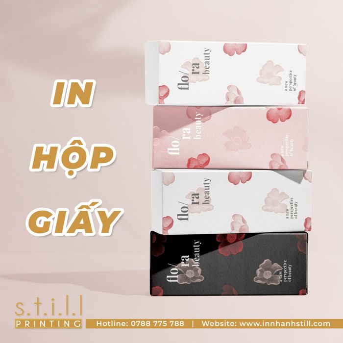 Bộ sưu tập sản phẩm nổi bật của In Nhanh Bến Tre - Still Printing