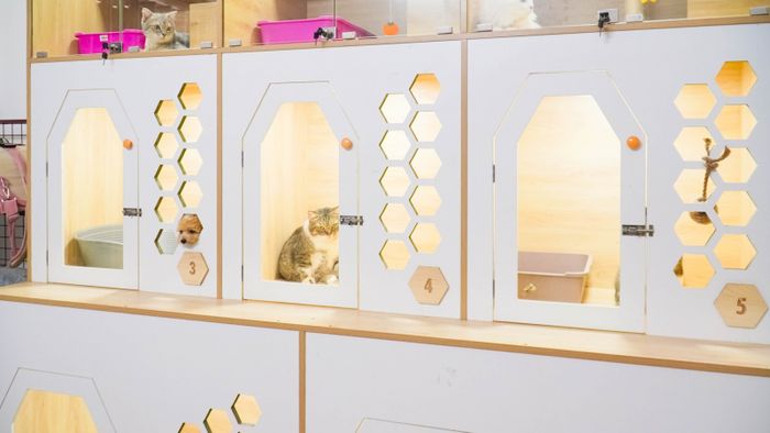 Pet's Home hình ảnh 2