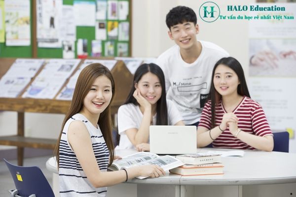 Hình ảnh hoạt động đào tạo của HALO