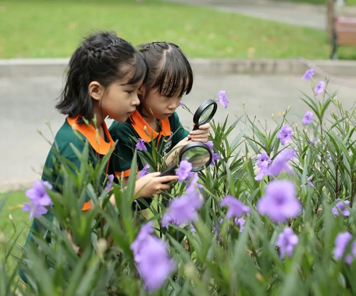 Trường Mầm Non Green Galaxy - Hình ảnh 2