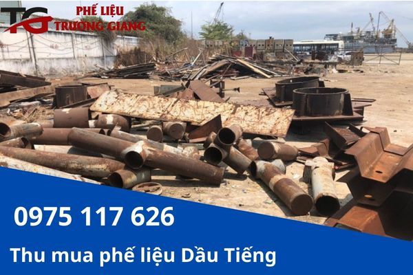 Công Ty Phế Liệu Trường Giang ảnh 1