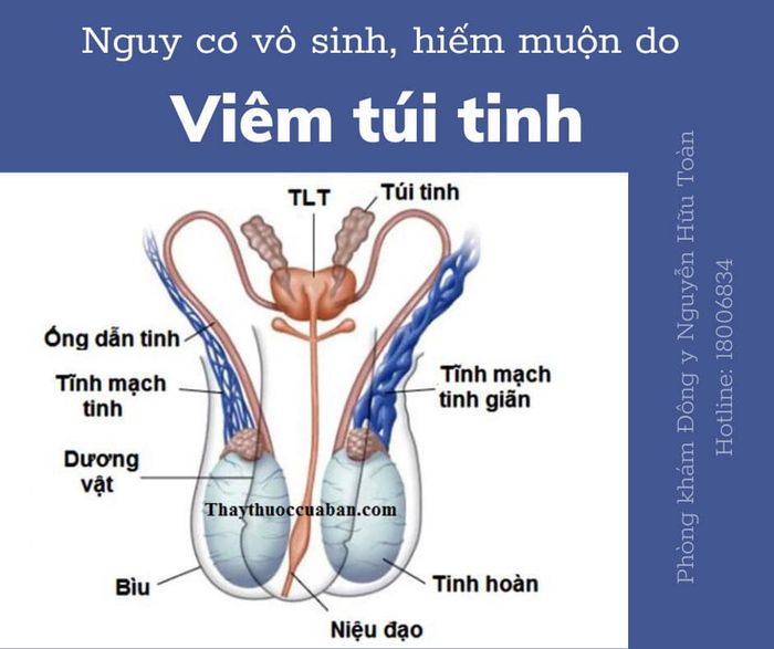 Phòng Khám Đông Y Nguyễn Hữu Toàn - Hình ảnh 2