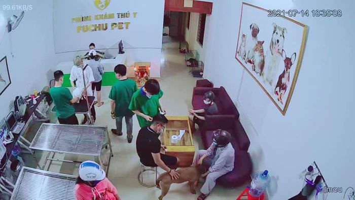 Hình ảnh Phòng khám FUNCHUPET - Đội ngũ bác sĩ tận tâm