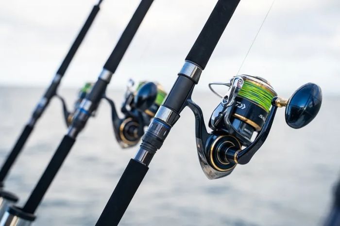 Cần câu cá Daiwa Saltiga 703MHRS-TR ảnh 1