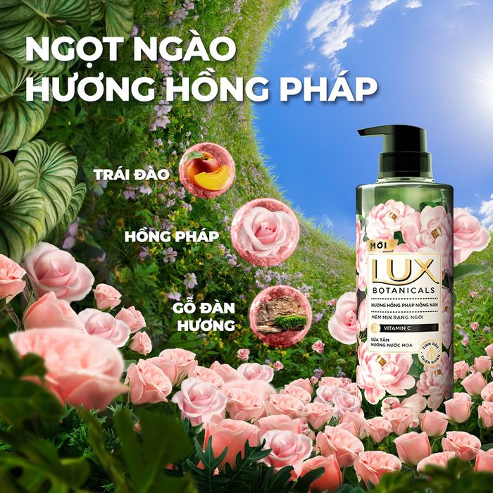 Bộ sưu tập hình ảnh sữa tắm Lux Botanicals cao cấp