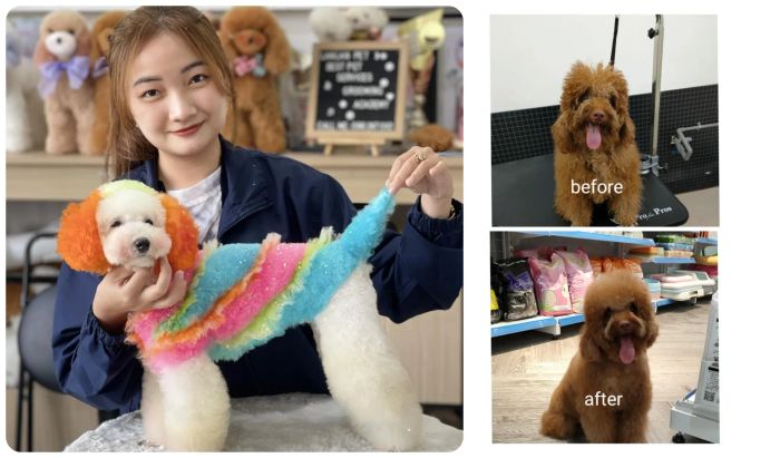 Khoảnh khắc thú cưng được chăm sóc chu đáo tại ZinZin PetHome