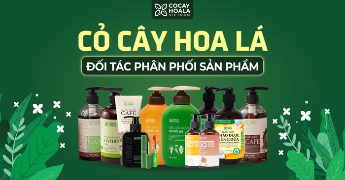 Hình ảnh sữa tắm thảo dược COCAYHOALA chính hãng